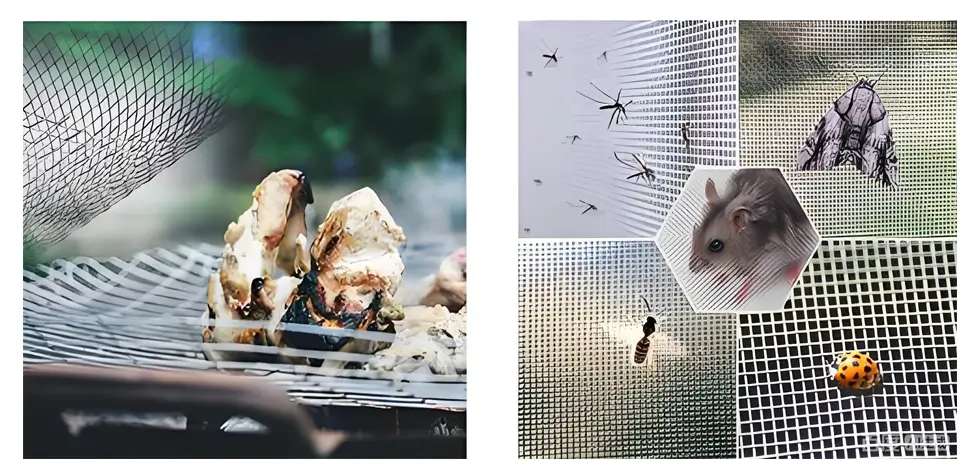 Glass aluminum window with insect-proof mesh